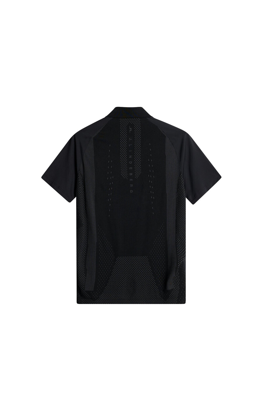 polo ibrida ray
